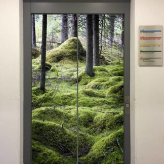 Fahrstuhlverkleidung Modell 434