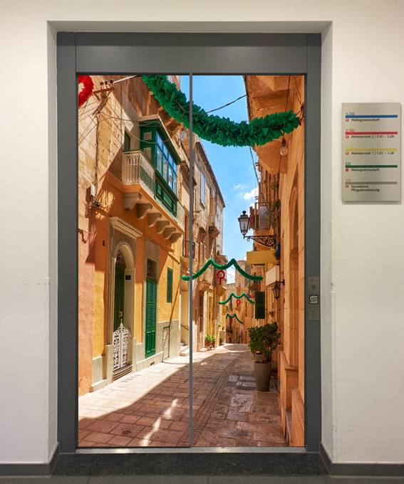 Fahrstuhlverkleidung Modell 455