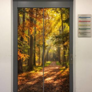 Fahrstuhlverkleidung Modell 461