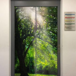 Fahrstuhlverkleidung Modell 477